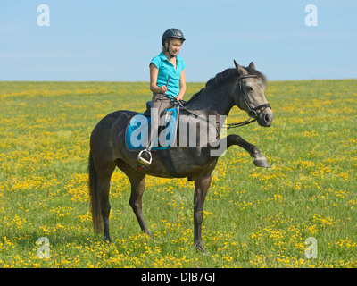 Giovane pilota sul dorso di un pony Connemara Foto Stock