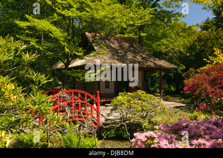 Il giardino giapponese nel Parco Clingendael, l'Aia, Olanda meridionale, Paesi Bassi Foto Stock