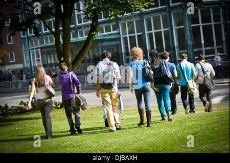 Torna colpo di grande gruppo di studenti universitari a piedi in tutta l'erba del campus in un sole luminoso Foto Stock