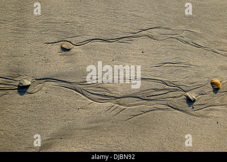 Primo piano di rivoli sabbiosi e ciottoli su una spiaggia con bassa marea. South Devon, Regno Unito Foto Stock