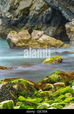 Rocce al foro di scale nei pressi di Lulworth cove, Dorset, Regno Unito Foto Stock