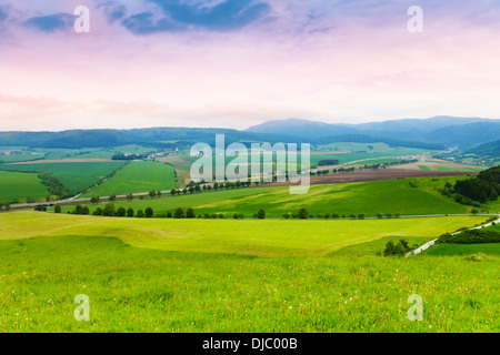 Slovakian wheat fields hills, road and mountains Foto Stock