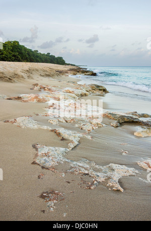 West end costa di St. Croix, U.S. Isole vergini, che mostra interessanti formazioni di roccia corallina sulla spiaggia. Foto Stock