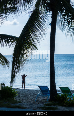 Una donna caucasica affacciato sul Mar dei Caraibi fissa i suoi capelli prima di andare in acqua sulla spiaggia di castelli di sabbia di St. Croix, Isole Vergini americane. Foto Stock