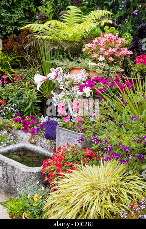 Piccolo giardino caratteristica comprendente varietà di piante i tipi di forme e caratteristiche Foto Stock