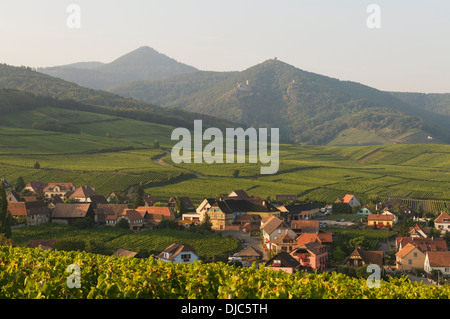 Elk213-2106 Francia, Alsazia, Hunawihr, città attraverso i vigneti Foto Stock