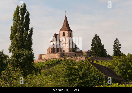Elk213-2114 Francia, Alsazia, Hunawihr Hunawihr, Chiesa attraverso i vigneti Foto Stock