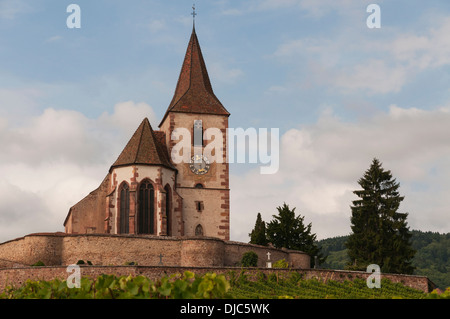 Elk213-2123 Francia, Alsazia, Hunawihr Hunawihr, Chiesa attraverso i vigneti Foto Stock