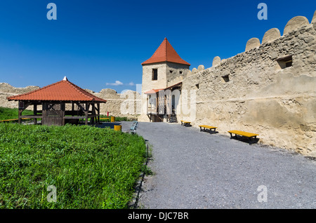 Le rovine della fortezza di Rupea, dalla Transilvania medioevale, costruita dai sassoni nel XIV secolo, oggi punto di riferimento della Romania Foto Stock