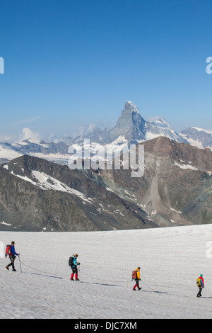 Una guida che conduce i suoi clienti sul ghiacciaio delle Alpi svizzere, rivolta verso il Monte Cervino Foto Stock