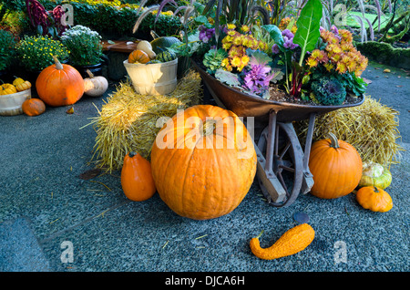 La raccolta autunnale display, Butchart Gardens, Brentwood Bay, l'isola di Vancouver, British Columbia, Canada Foto Stock