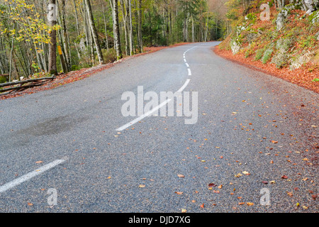 Strada nel Vercors in autunno, Grenoble, Francia Foto Stock