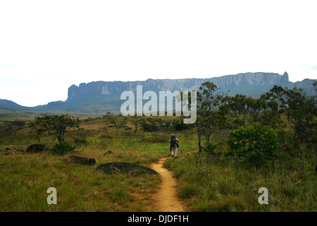 Gli escursionisti a piedi verso il Monte Roraima in Venezuela Foto Stock