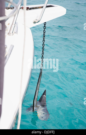 L'Italia, Sardegna, yacht di ancoraggio Foto Stock