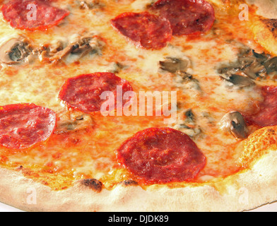 Una gustosa pizza con salsiccia per pizza e funghi cotti nel forno a legna Foto Stock