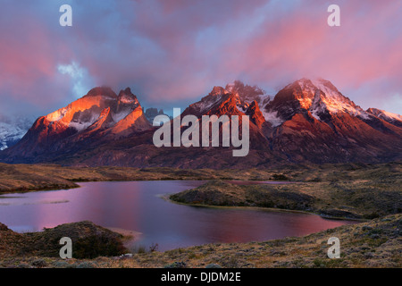 Luce rosa su Torres del Paine picchi. Parco Nazionale di Torres del Paine.Patagonia.Cile Foto Stock