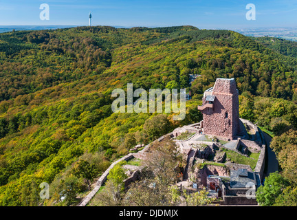 Rovine di Reichsburg Kyffhausen, Barbarossa torre del castello superiore, XI secolo, Turingia, Germania Foto Stock