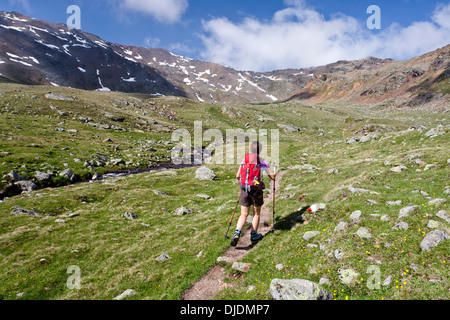 Femmina di un escursionista in Val d'Ultimo o Val d'ultimo summit del Mt Gleckspitz sul retro, Alto Adige, Trentino Alto Adige, Italia Foto Stock