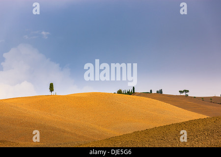 Le Crete Senesi si riferisce ad una zona della regione italiana della Toscana a sud di Siena Foto Stock