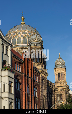 La nuova sinagoga di Berlino, facciata, Germania, Europa Foto Stock