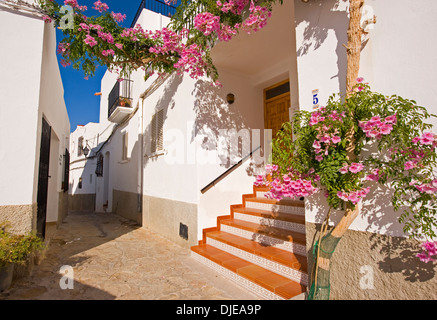 Tradizionale bianco delle case a Mojacar pueblo (paese) Spagna Foto Stock