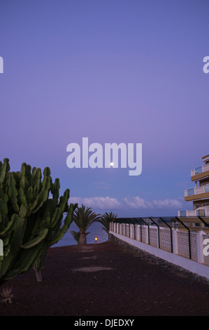 Luna piena impostazione nel cielo viola all'alba con cactus e blocco di appartamenti con recinto di sicurezza, Playa San Juan, Tenerife, Canarie Foto Stock