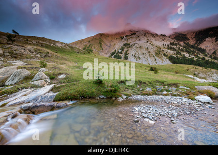 Aisa Valley, il Parque Natural de los Valles Occidentales, Jacetania, Pirenei, provincia di Huesca, Aragona, Spagna, Europa. Foto Stock