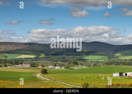 Lumsden villaggio in Aberdeenshire,Scozia Scotland Foto Stock