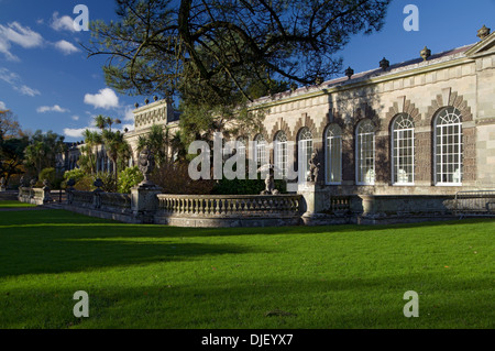 Orangry margam manor port talbot nel Galles del Sud Foto Stock