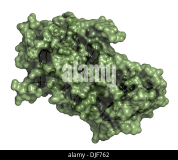 Alfa-galattosidasi (Agalsidasi) enzima. Cause di della malattia di Fabry. Somministrati come terapia di sostituzione enzimatica. Foto Stock