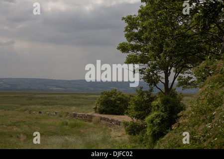 Il sito e resti di Denhall Quay a Little Neston tra Ness e Neston Wirral Peninsular cheshire england Foto Stock