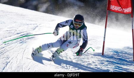 Beaver Creek Colorado, Stati Uniti d'America. 26 Nov, 2013. FIS WC womens downhill Beaver Creek.Elisabeth Goergl (AUT). Credito: Azione Sport Plus/Alamy Live News Foto Stock