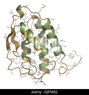 Granulocita-colonia macrofago-fattore stimolante (GM-CSF, molgramostim, sargramostim molecola). Globuli bianchi il fattore di crescita. Foto Stock