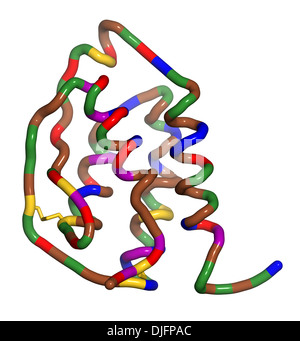 Granulocita-colonia macrofago-fattore stimolante (GM-CSF, molgramostim, sargramostim molecola). Globuli bianchi il fattore di crescita. Foto Stock
