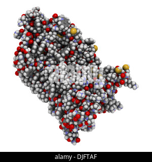 La rodopsina (visual viola) la percezione della luce di proteina, struttura chimica. Pigmento biologico molecola presente nell'occhio Foto Stock