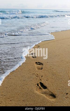 (131128) -- Pechino , nov. 28, 2013 (Xinhua) -- Foto scattata il 9 novembre 23, 2013 mostra impronte sulla spiaggia di Sambava, Madagascar. (Xinhua/Wu Xiaoling) (zhf) Foto Stock