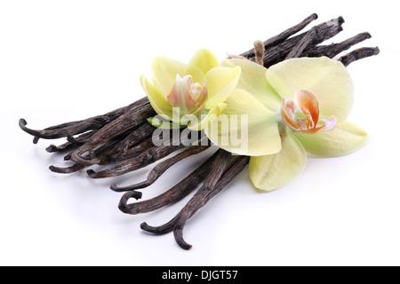 Bastoncini di vaniglia con un fiore su uno sfondo bianco. Foto Stock