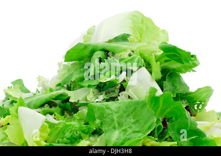 Primo piano di una pila di mesclun, un mix assortiti di foglie di insalata, su sfondo bianco Foto Stock