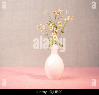 Immagine ravvicinata di camomilla fiori in vaso Foto Stock