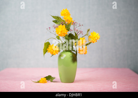 Immagine ravvicinata di camomilla fiori in vaso Foto Stock