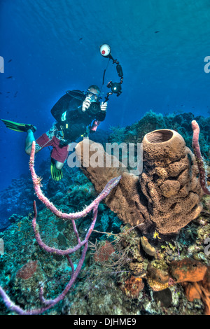 Immagine hdr gridare di subacqueo sta immagine della gigantesca spugna nelle Isole Turks e Caicos Foto Stock