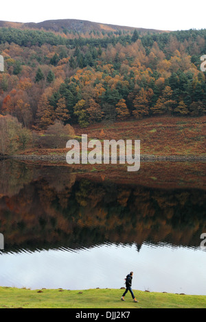 26/11/13 Autunno colori riflessi sul serbatoio Ladybower, Derwent Valley, Peak District. Foto Stock