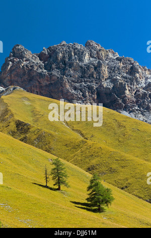 Vista sul Monte Piz Fier in Val Trupchun, Parco Nazionale Svizzero a Graubünden / Grisons nelle Alpi, Svizzera Foto Stock