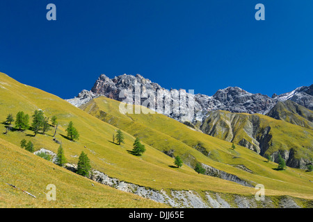 Vista sul Monte Piz Fier in Val Trupchun, Parco Nazionale Svizzero a Graubünden / Grisons nelle Alpi, Svizzera Foto Stock