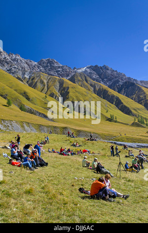 I turisti in appoggio nella valle di montagna Val Trupchun, Parco Nazionale Svizzero a Graubünden / Grisons nelle Alpi, Svizzera Foto Stock