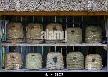 Alveari / alveari / skeps per le api da miele nel rustico rifugio di apiario, Lüneburg Heath / Lunenburg Heath, Bassa Sassonia, Germania Foto Stock