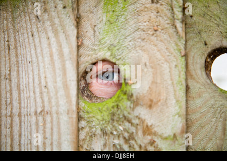 Occhio / occhi di un prossimo nosey / prossimo peeping / spiare attraverso il buco spia / fori in un giardino recinto. Foto Stock