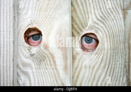 Occhio / occhi di un prossimo nosey / prossimo peeping / spiare attraverso il buco spia / fori in un giardino recinto. Foto Stock