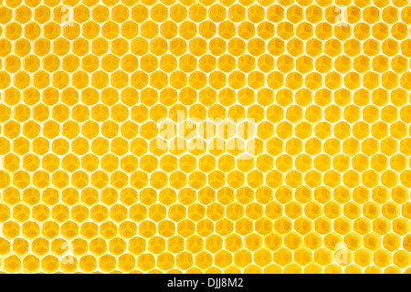 Il miele in favo sfondo Foto stock - Alamy