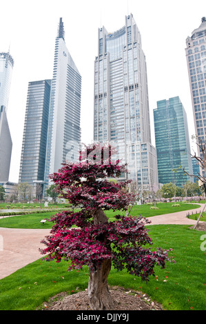 Banca di sede di Shanghai (a destra) e Bocom torri finanziari visto da Luijazui Parco nel quartiere di Pudong, Shanghai, Cina Foto Stock